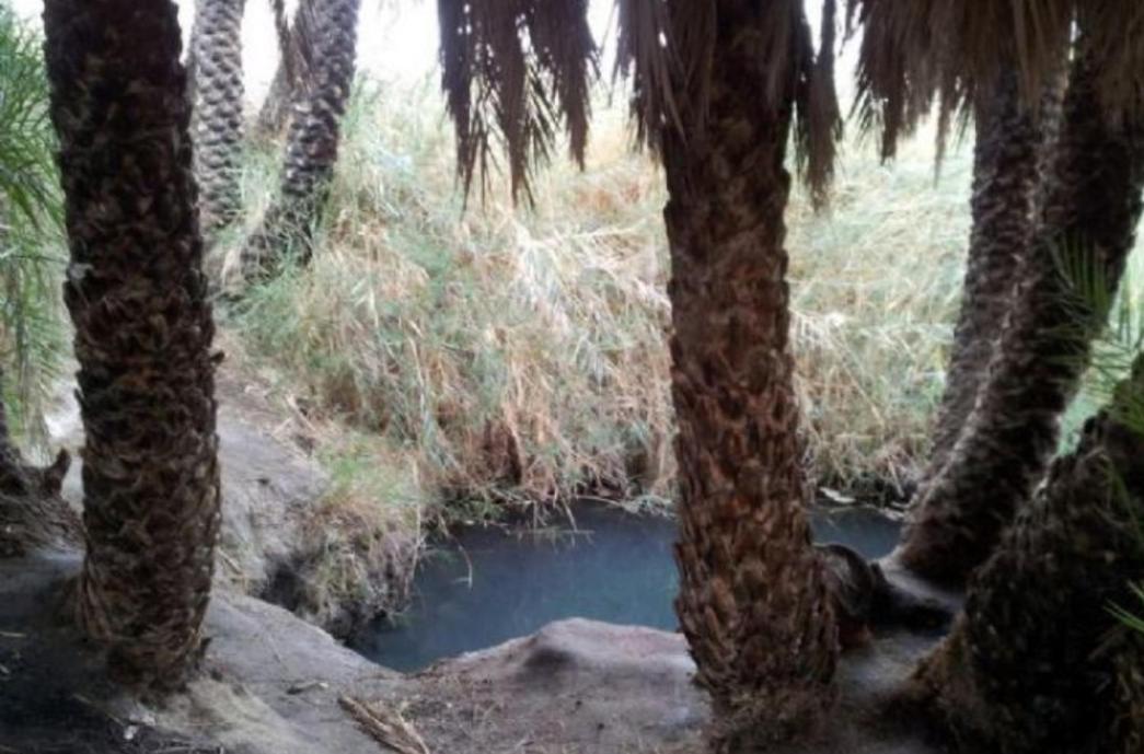 סברס Ein Tamar